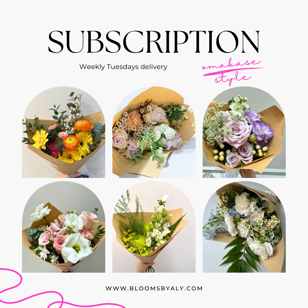 Subscription Plan