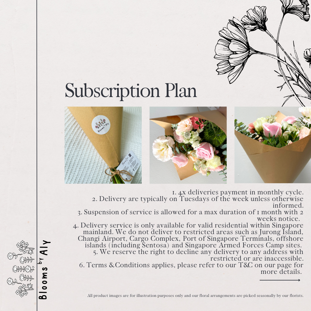 Subscription Plan