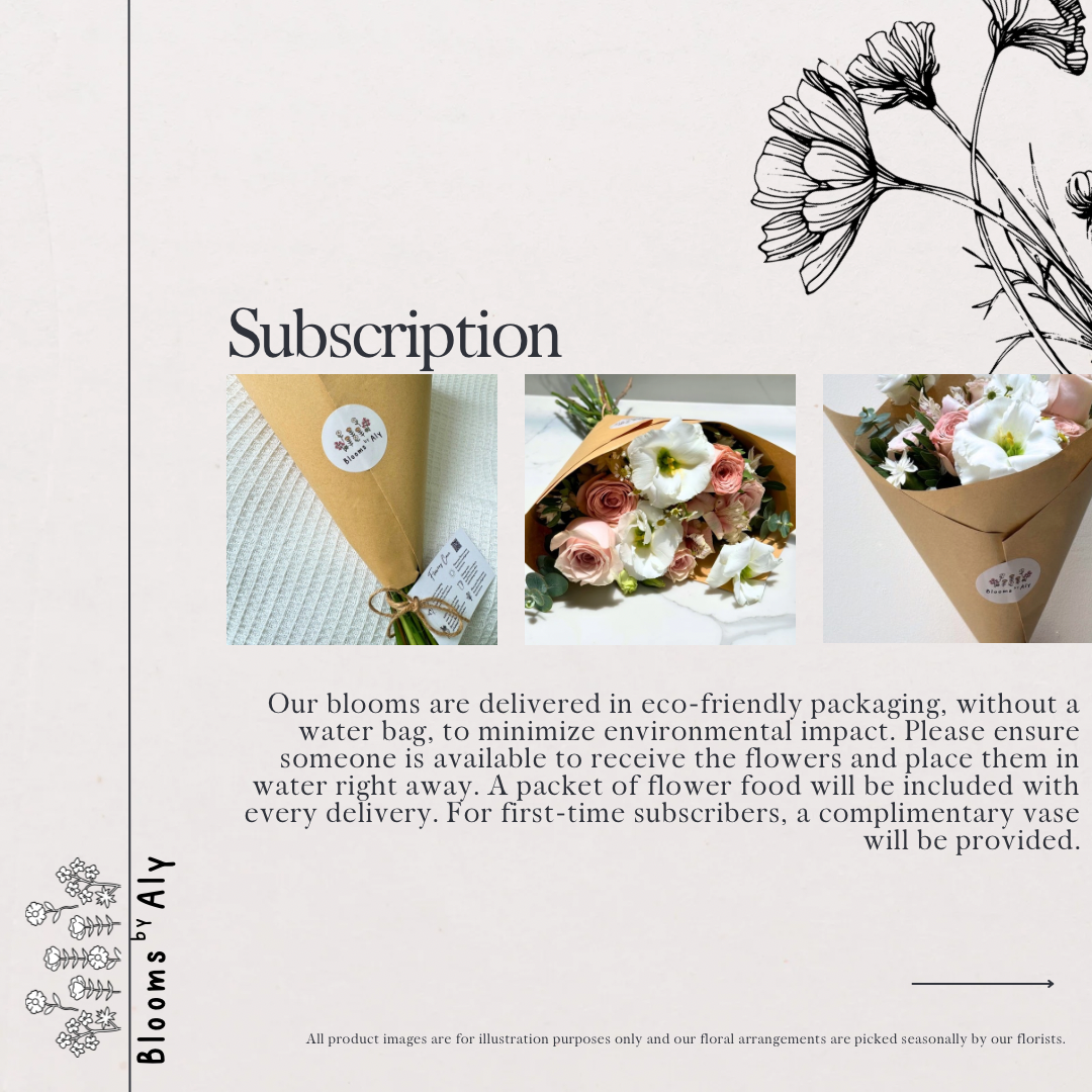 Subscription Plan