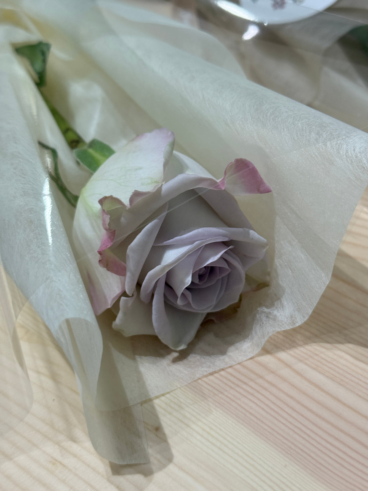 Splayed Single Roses Single Stalk Rose (Wrapped) – Blooms by Aly